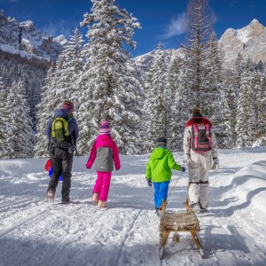 Randonnées d'hiver et ski de randonnée